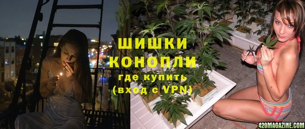 прущие грибы Навашино