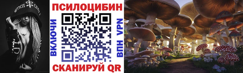 Галлюциногенные грибы прущие грибы  Катайск 